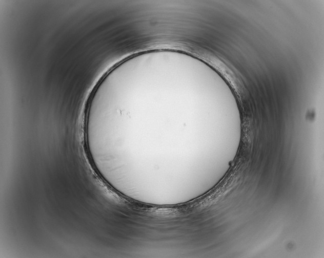 X0000103401140200810031219