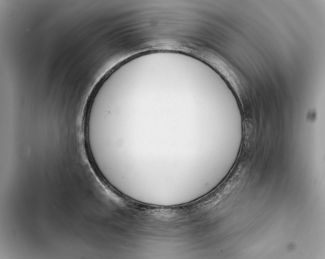 X0000103401141200810031219