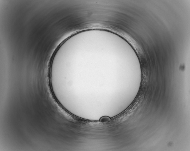 X0000103401142200810031219