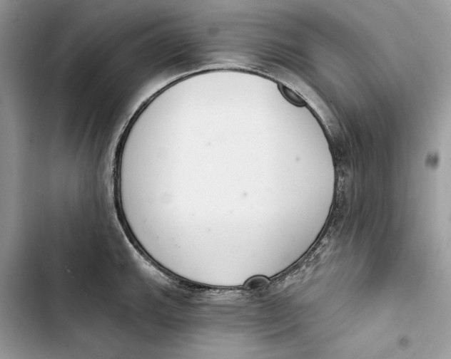 X0000103401143200810031219