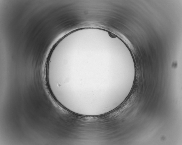 X0000103401144200810031219