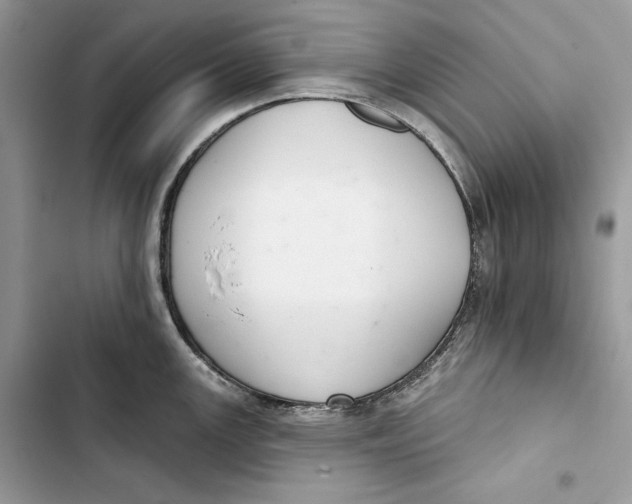 X0000103401147200810031219