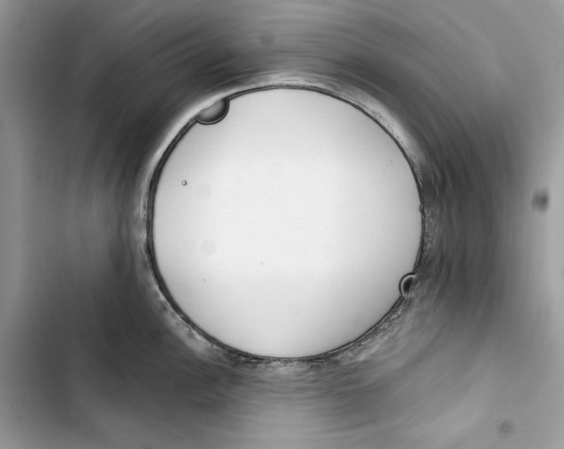 X0000103401148200810031219