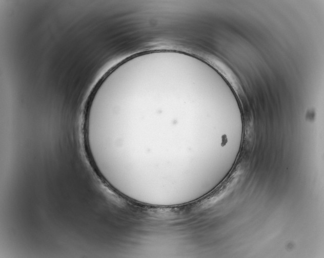 X0000103401149200810031219