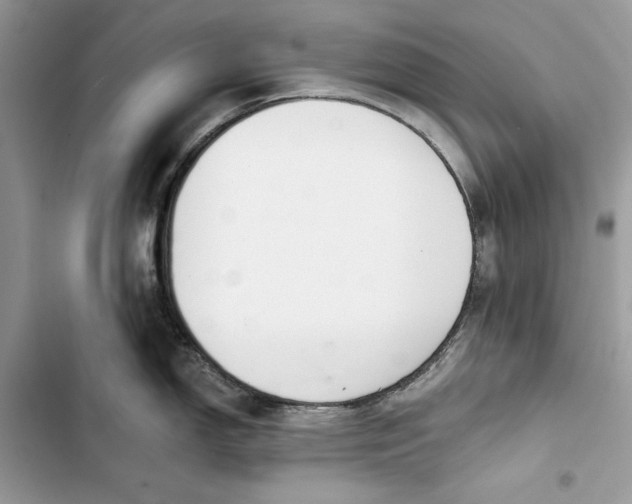 X0000103401150200810031219