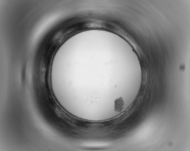 X0000103401151200810031219