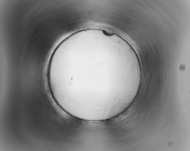 X0000103401152200810031219