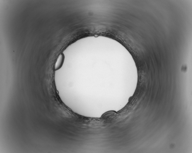 X0000103401153200810031218