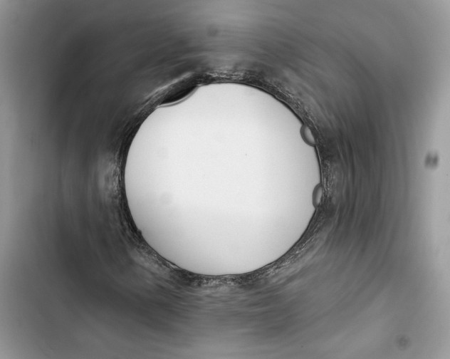 X0000103401154200810031218