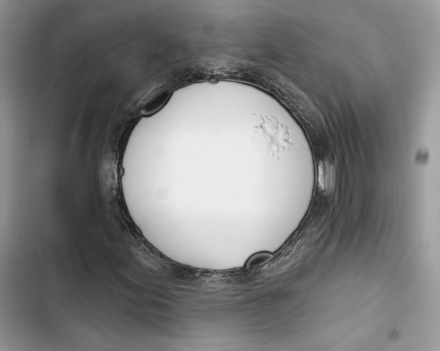 X0000103401155200810031218