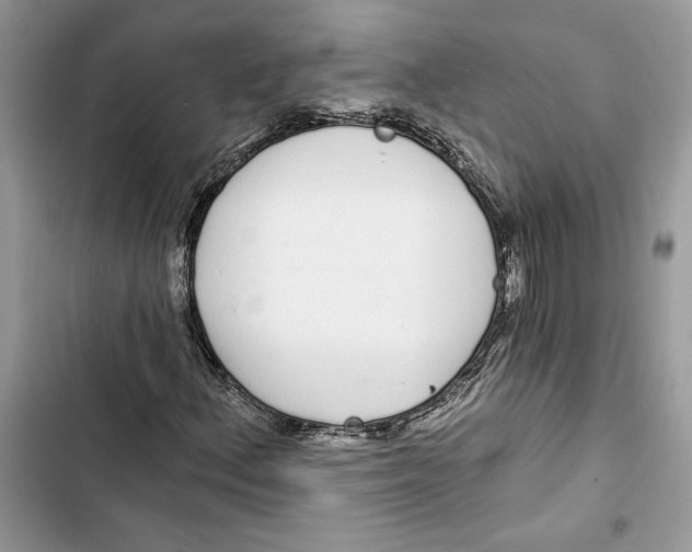 X0000103401156200810031218