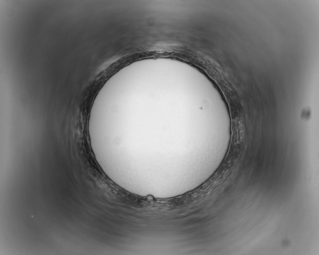 X0000103401158200810031218