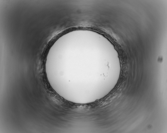 X0000103401160200810031218