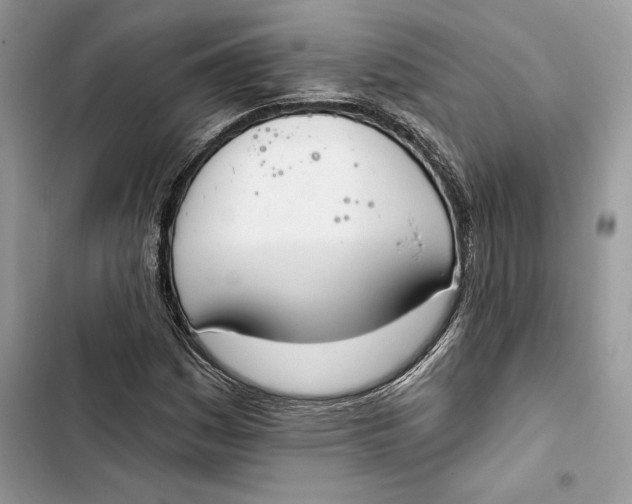 X0000103401161200810031218