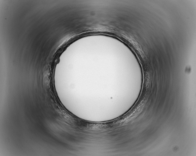 X0000103401163200810031218