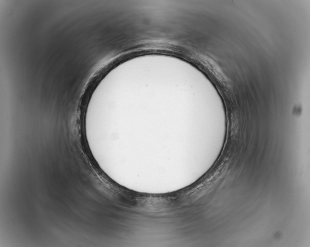 X0000103401164200810031218