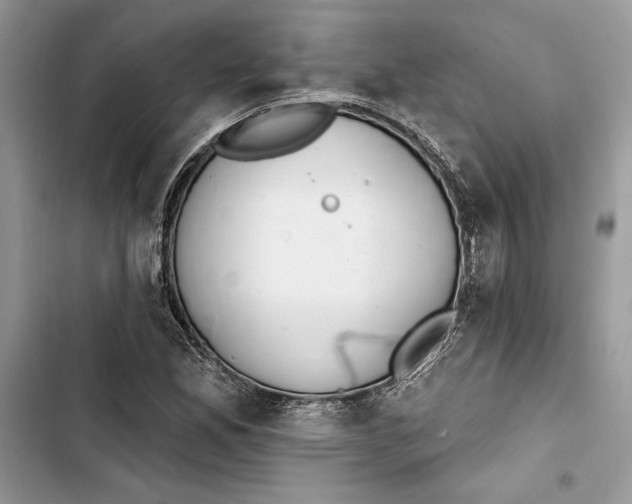 X0000103401165200810031218