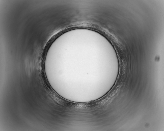 X0000103401166200810031218