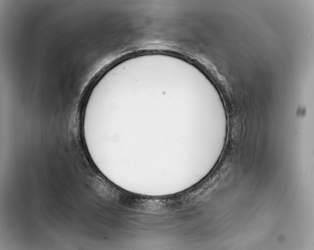 X0000103401167200810031218