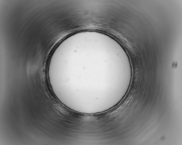 X0000103401170200810031218