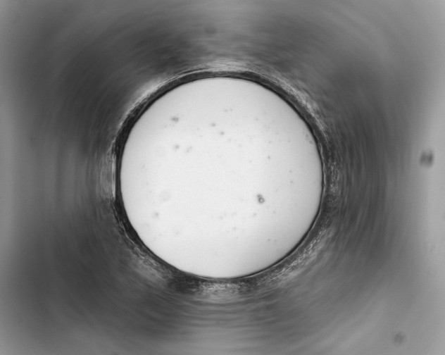 X0000103401171200810031218