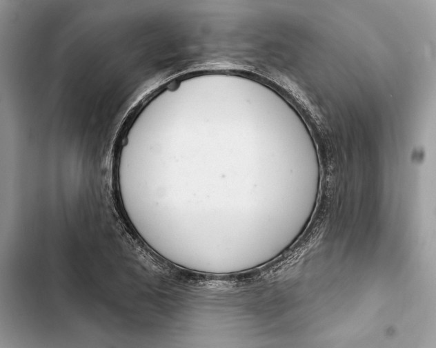 X0000103401173200810031218