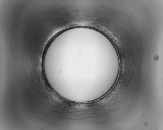 X0000103401174200810031218