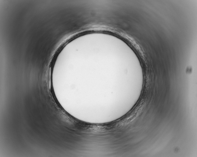 X0000103401175200810031218