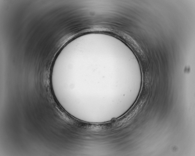 X0000103401177200810031218