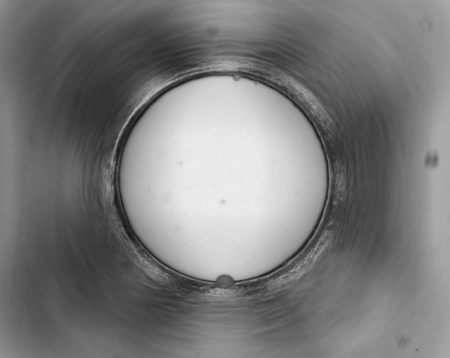 X0000103401178200810031218