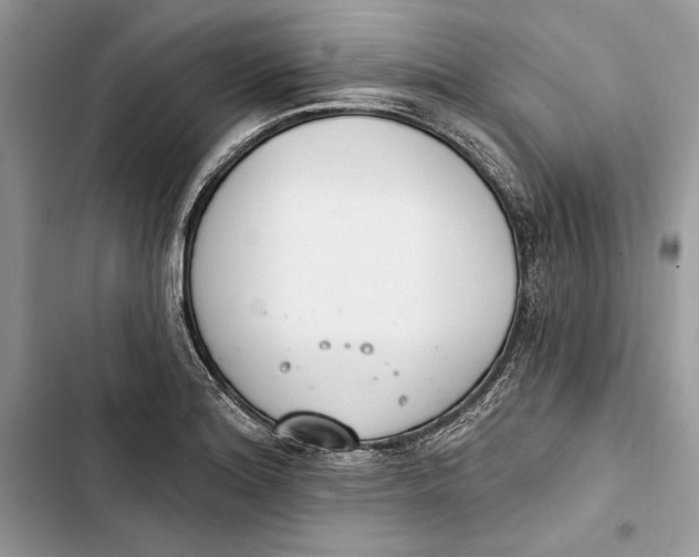 X0000103401180200810031218