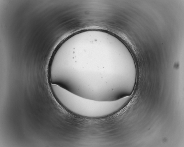 X0000103401181200810031218