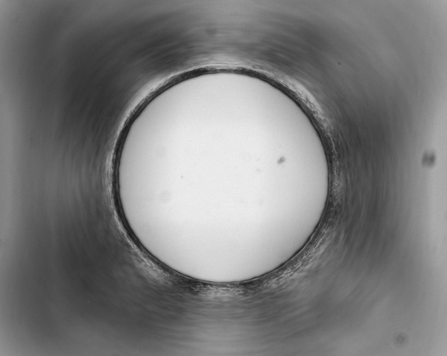 X0000103401183200810031218