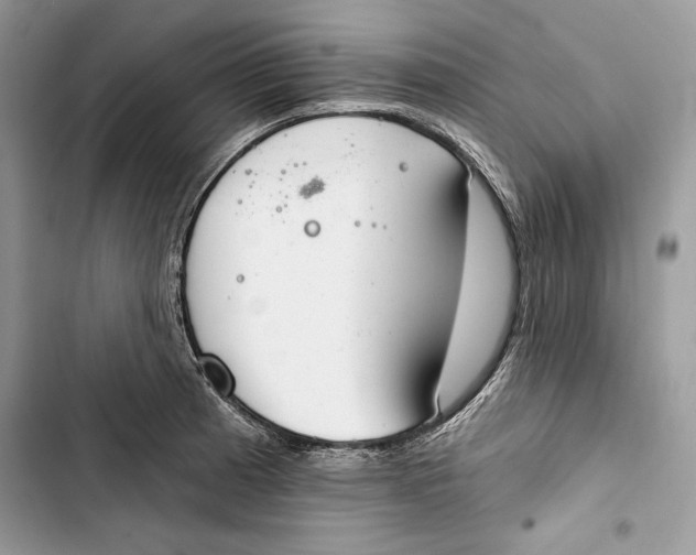 X0000103401185200810031218