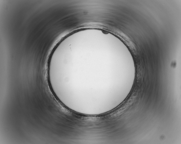 X0000103401188200810031218