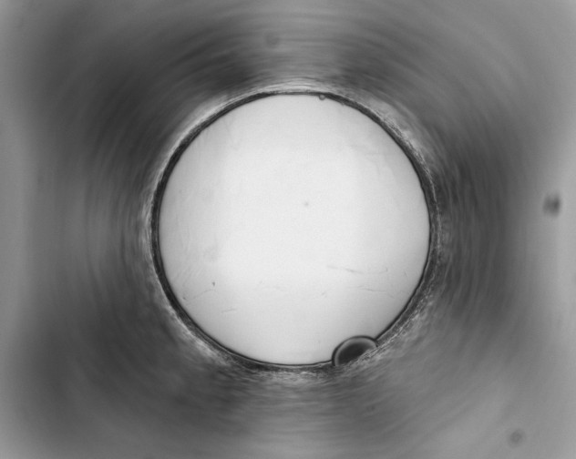 X0000103401189200810031218