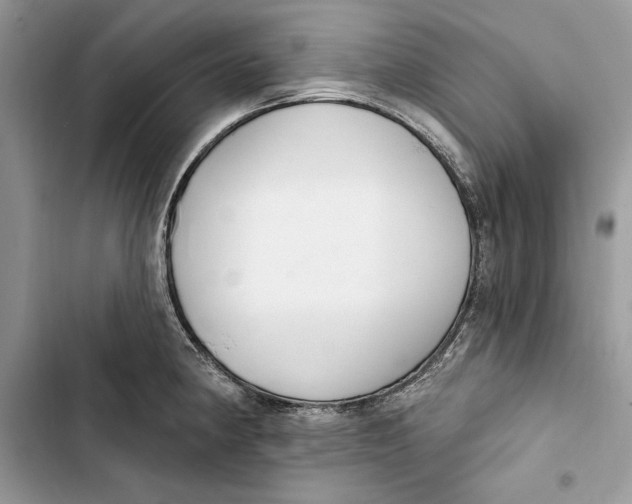 X0000103401190200810031218