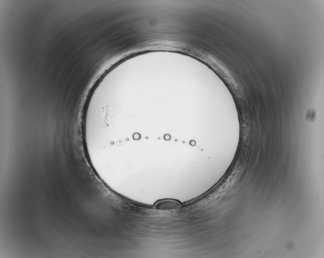 X0000103401192200810031218