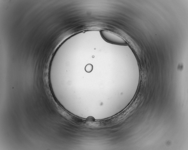 X0000103401194200810031218