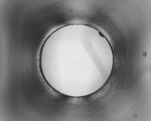 X0000103401195200810031218