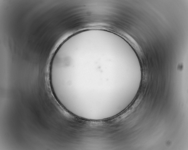 X0000103401196200810031218