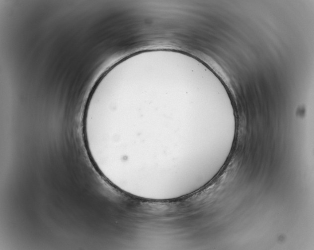 X0000103401197200810031218