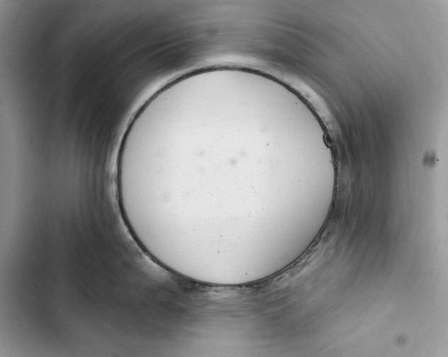 X0000103401199200810031218