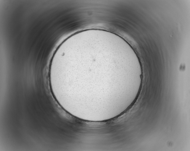 X0000103401200200810031218