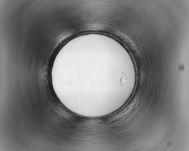 X0000103401210200810031217