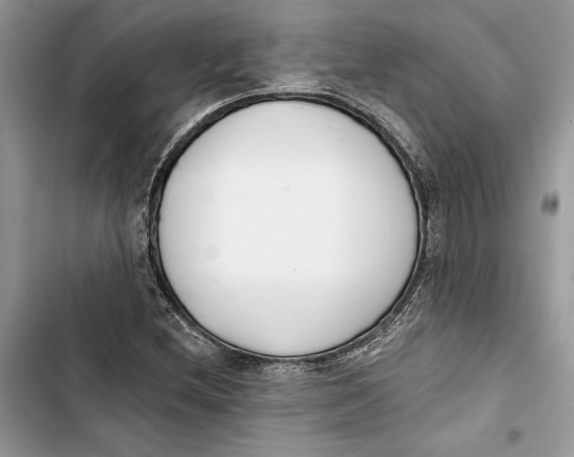 X0000103401212200810031217