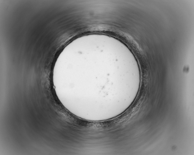 X0000103401217200810031217