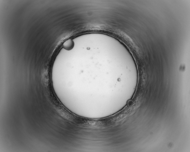 X0000103401218200810031217