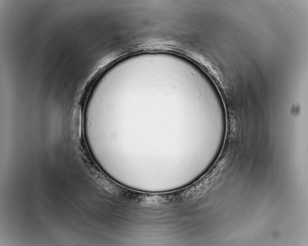 X0000103401219200810031217