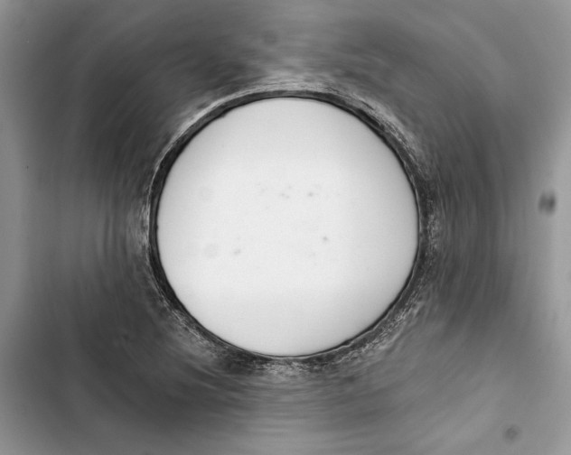 X0000103401220200810031217